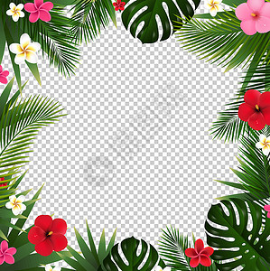 巨型棕榈带有热带花朵和树叶的夏日海报透明后背g插画
