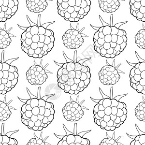 无缝背景与图像准备好您的设计插图浆果收藏墙纸水果艺术饮食食物植物花园背景图片