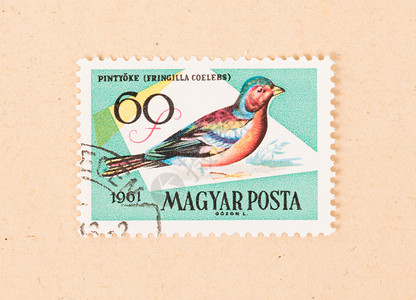 鸟形印章匈牙利  CIRCA 1961年 匈牙利印刷的印章显示一只鸟空气邮资古董历史性邮票信封收藏爱好背景