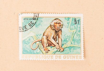 巴布亚新几内亚  大约 1980 年 巴布亚新几内亚印制的邮票爱好收藏收集古董邮资信封动物历史性背景图片