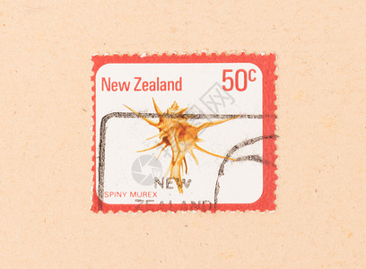 新西兰1980年 在新西兰印刷的印有一张邮票收藏邮资爱好贝壳打印历史性古董信封收集背景图片
