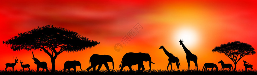 动物保护区日落太阳背景下的野生动物插画