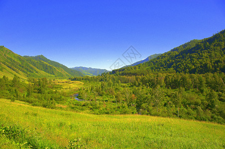 西伯利亚河山脉脚边的富丽绿谷 阿尔泰 西伯利亚 俄罗斯 风景背景