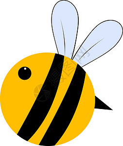 大胖蜜蜂 插图 白底的矢量背景图片