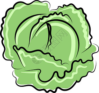 黄瓜卷心菜白色背景上的新鲜卷心菜洋葱市场沙拉黄瓜绘画艺术收成草图农业饮食插画