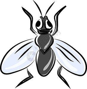 大屁蚊子白色背景上的平飞插画矢量设计图片