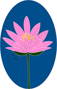 粉色莲花 插图 白色背景的矢量背景图片