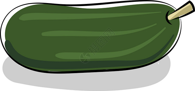 贵州小青椒白色背景上的新鲜黄瓜插画矢量饮食胡椒营养绘画食物花园厨房草图洋葱菜单插画