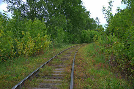 旧的和废弃的铁路线穿过森林 风景高清图片