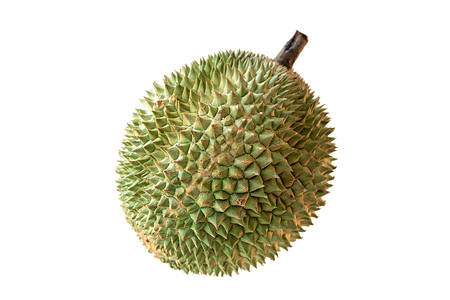 马来西亚著名果实德良黑刺季节食物角质情调异国甜点热带香味榴莲营养背景图片