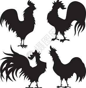 公鸡剪影男性插图农场家禽卡通片黑色十二生肖背景图片