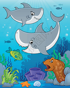 海鳗鱼鲨鱼专题图像5插画