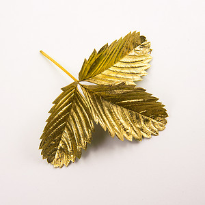 白色背景上的金箔工匠黄铜古董精神桂冠传统装饰配饰叶子金属背景图片