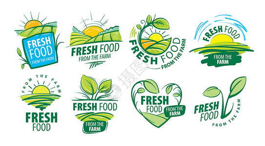 农产品标志来自农场的标志新鲜食物 白色背景上的矢量图解市场质量商业叶子场地插图艺术推广生态太阳插画