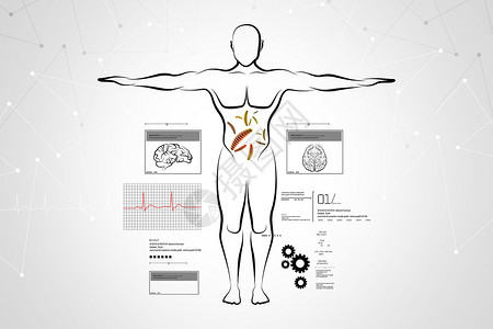 人体的伸展女性兵团技术解剖学身体绘画手臂比例数字草图背景图片