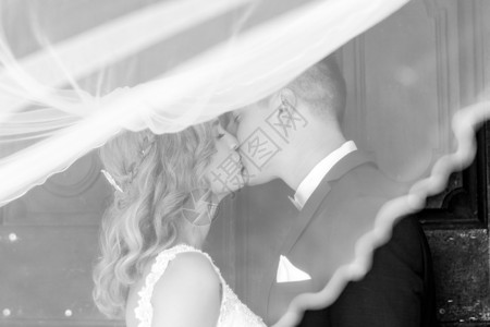 订婚照片新娘和新郎亲吻温柔地 在飘扬的面纱的阴影下 艺术黑白结婚照片背景