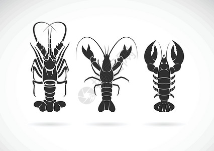 铁锹海鲜小组在白色背景的龙虾设计 海洋动物 海鲜设计图片