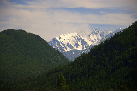 雪山坡高山上积雪的山峰 生长着青草和隐形森林背景