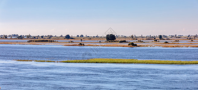 卡舒比亚博茨瓦纳乔贝河地貌 非洲太阳衬套旅游国家草地目的地栖息地野生动物旅行河岸背景