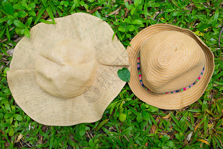 前卫的两顶帽子上的心叶形状礼物稻草婚礼花园生活夫妻卡片树叶植物群墙纸背景图片
