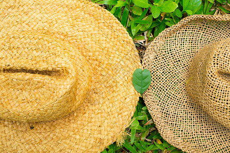 花园的两顶帽子上的心叶形状 合上背景图片