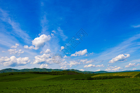 小山丘上的绿草地 和有云的蓝天空牧场场地天气爬坡蓝色风景场景晴天地面草原背景图片