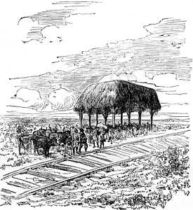 旅行 萨万之间铁路第一站高清图片