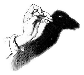 骆驼 古代雕刻手指蚀刻白色历史黑色阴影插图艺术品绘画动物背景图片