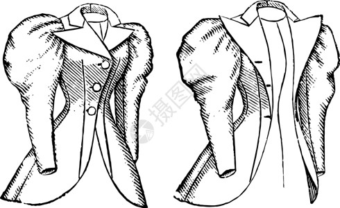 胸小肌单胸外套 旧式雕刻插画