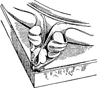 泽莱东雕刻建筑学插图圆环绘画黑色艺术鞭策白色插画