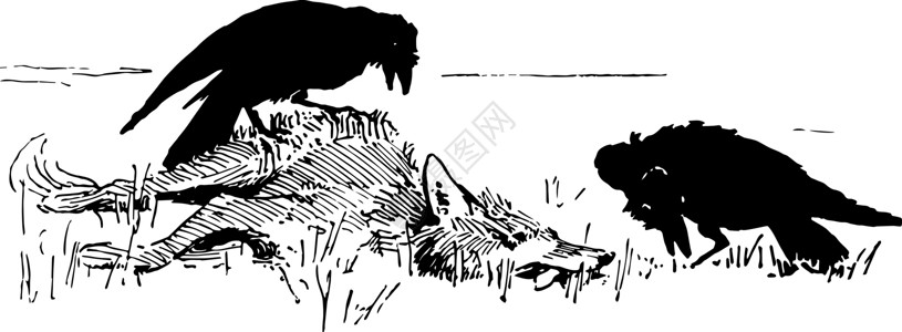 狐狸乌鸦欺骗乌鸦古老的插图插画