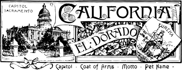 加利福尼亚州古年插图的州旗背景图片