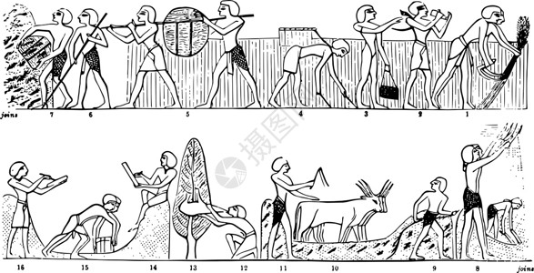 埃及农业古代图例 埃及农业年鉴背景图片