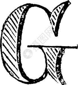 装饰性字母 G 老式插图背景图片