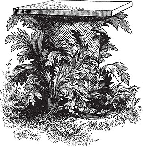 老鼠复古插画黑色绘画白色插图植物雕刻艺术背景图片