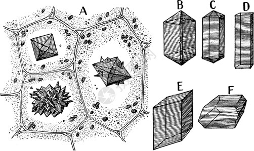 Oxalate 水晶石灰岩的古董插图插画