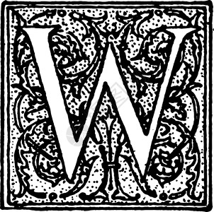 装饰字母 Wvintage 插图背景图片