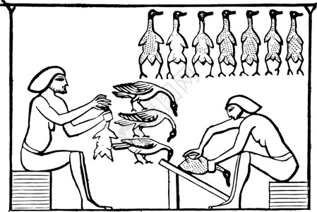 埃及插图绘画雕刻艺术白色黑色背景图片