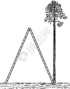 特拉穆斯特拉德巨型斯捷特拉德老古董插图插画