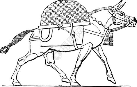 亚述人 Mule 古代插图背景图片