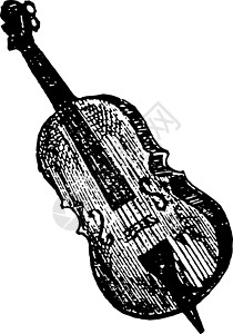 巴斯小提琴 古董插图背景图片