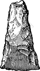 分期付款旧石器化成石板的老古董插图插画