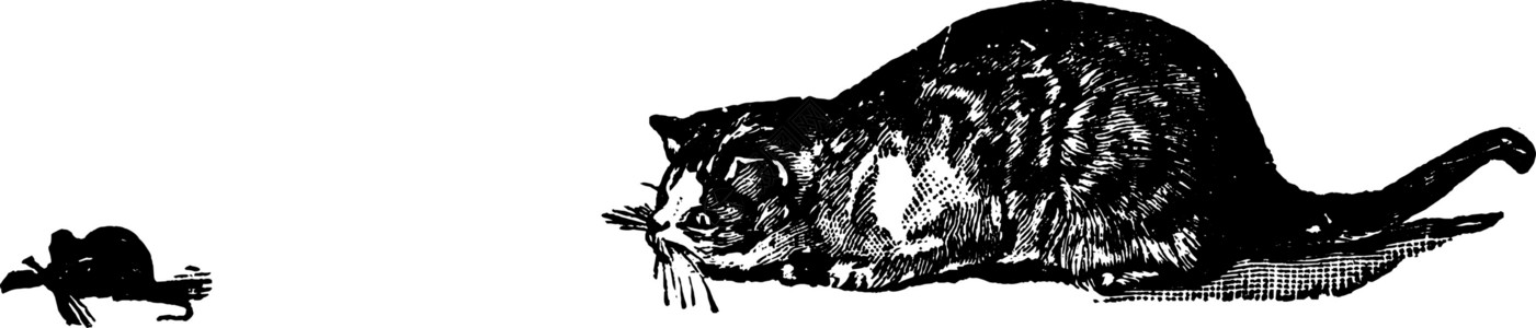 猫和老鼠 老式插图背景图片