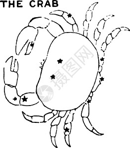 螃蟹古代插图背景图片