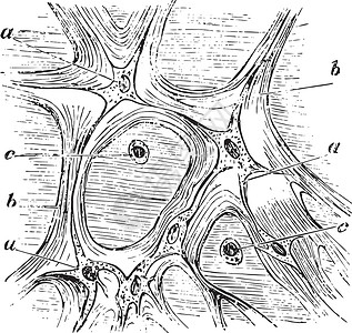 沃顿商学院纸巾绳索雕刻艺术黑色白色绘画脐带插图插画