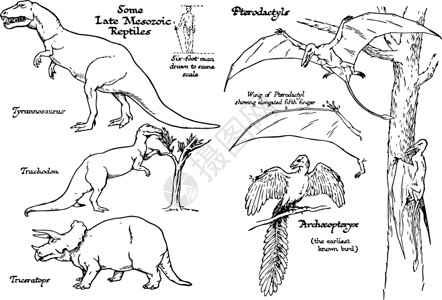 晚期中索索齐克时代的爬虫病 陈年插图背景图片