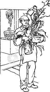 人与植物 古代插图背景图片