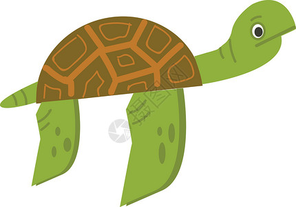 海龟矢量颜色说明动物海洋爬虫绘画游泳宠物海滩乌龟插图背景图片