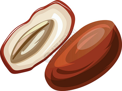 棕色和白色的原始枣切成一半卡通水果矢量错觉插画