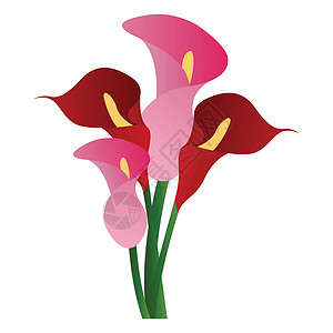 粉色白色百合白色红花和粉红色白花花的矢量插图插画